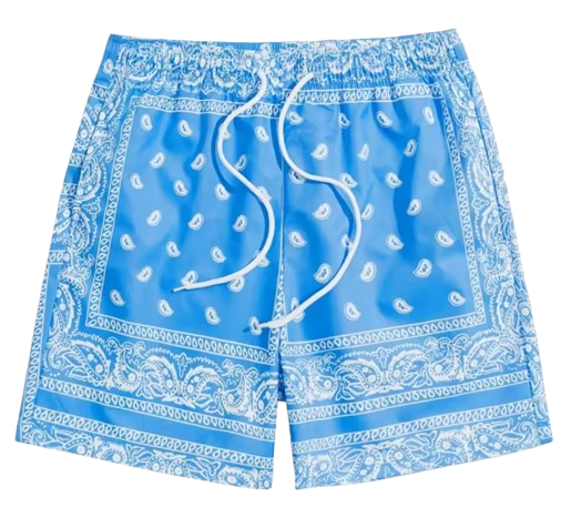 Maillots Bleu